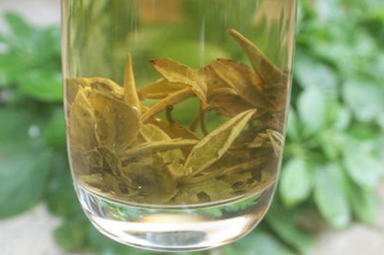 茉莉龍珠泡開后為什么都是梗，茉莉龍珠泡開后什么樣？