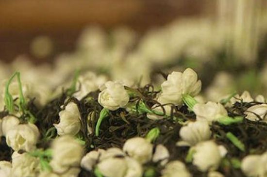 蒸茶器可以蒸花茶嗎，蒸茶器能用來蒸茉莉花茶嗎？
