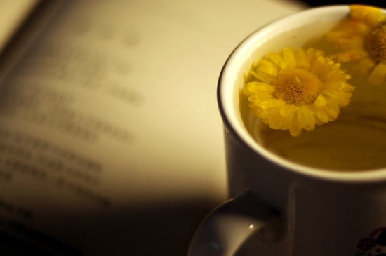 經(jīng)常菊花泡水好嗎，喝菊花茶有什么好處？