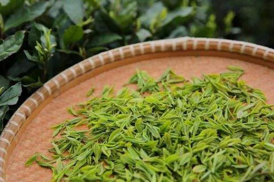 炒青綠茶與綠茶的區(qū)別，烘青和炒青哪個好喝？