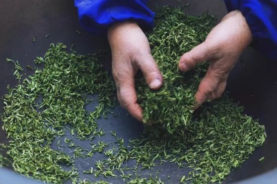 自家炒茶葉怎么炒，自己炒茶葉的步驟