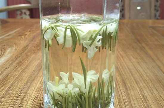 女孩喝茉莉茶的好處，茉莉茶葉的功效與禁忌