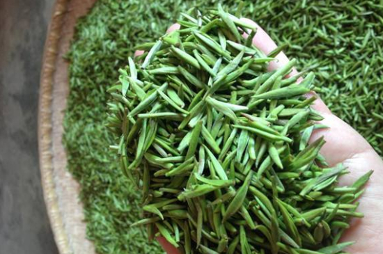 采茶的方法與步驟，如何正確采摘茶葉？
