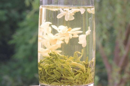 茉莉龍珠可以和什么一起泡茶，茉莉龍珠茶能加蜂蜜嗎？