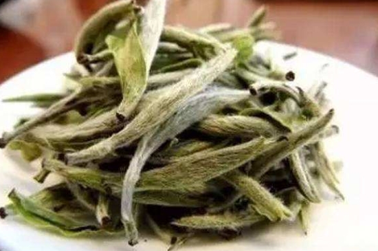 白茶三年為藥七年為寶的原理，為什么說一年茶三年藥七年寶？