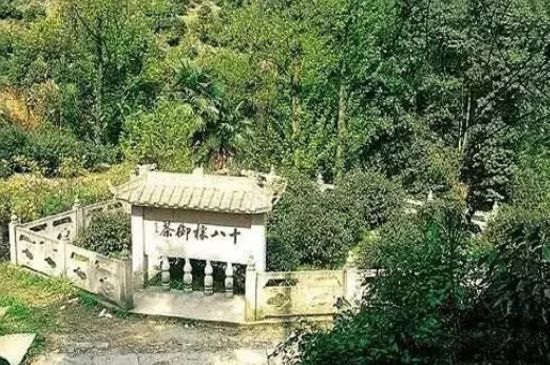 母樹(shù)大紅袍給誰(shuí)喝了，為什么母樹(shù)大紅袍叫三棵六株？