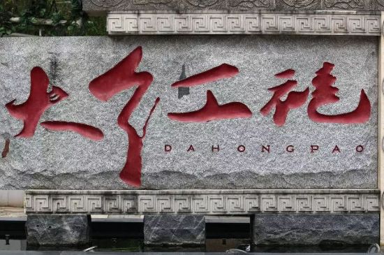 母樹(shù)大紅袍給誰(shuí)喝了，為什么母樹(shù)大紅袍叫三棵六株？