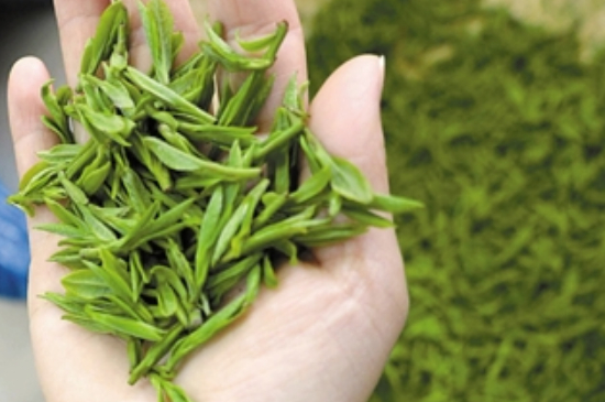潮汕炒茶屬于什么茶，潮汕炒茶是綠茶嗎？