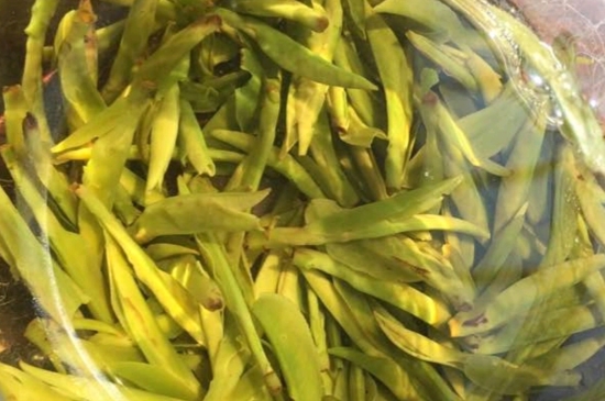 龍井是明前的好還是雨前的好，明前茶和雨前茶哪個(gè)好喝？