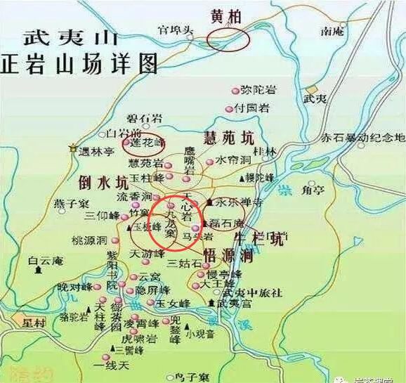 母樹(shù)大紅袍給誰(shuí)喝了，為什么母樹(shù)大紅袍叫三棵六株？
