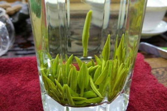 雀舌有一股青草味，雀舌為什么有青草味？
