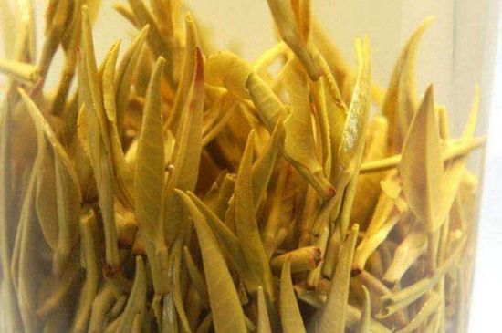 黃茶不適合哪些人喝，黃茶的功效與作用禁忌