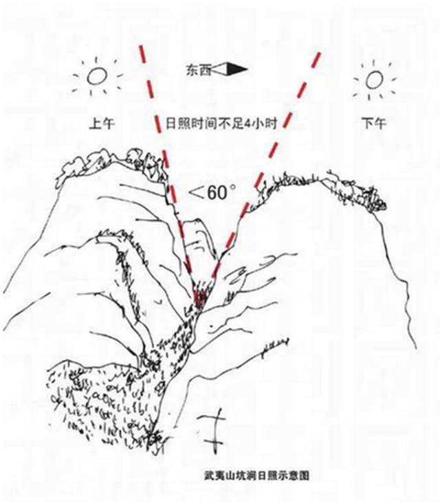 武夷山為什么盛產(chǎn)茶葉，武夷山茶為什么好喝？