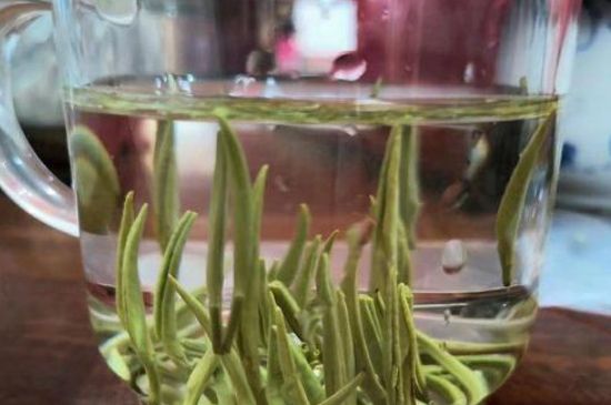 踏雪蘭妃是什么茶，踏雪蘭妃是哪里的茶葉?