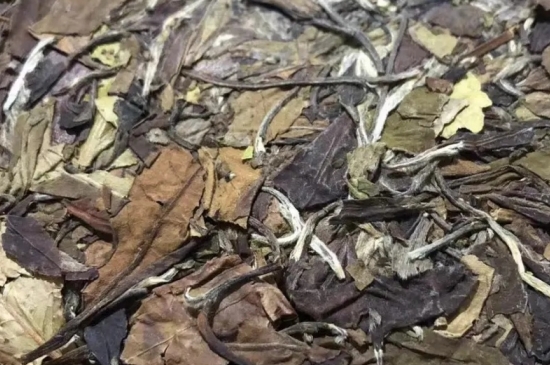 老白茶上火還是去火？夏季喝煮的老白茶會容易上火！