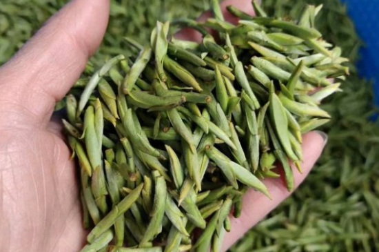 龍井茶好壞的鑒別圖片，如何區(qū)別龍井茶的好壞？