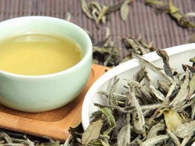 大紅袍好還是白茶好，福鼎白茶和大紅袍哪個貴？