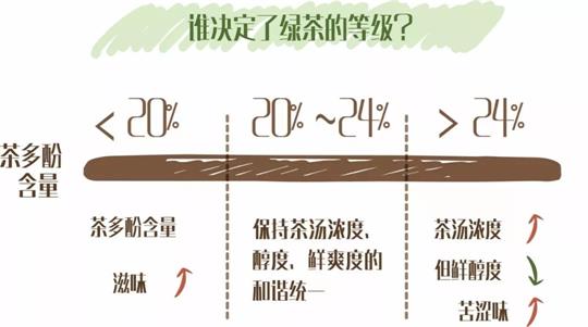 什么綠茶口味重口感濃郁，口味比較重的綠茶都有那些？