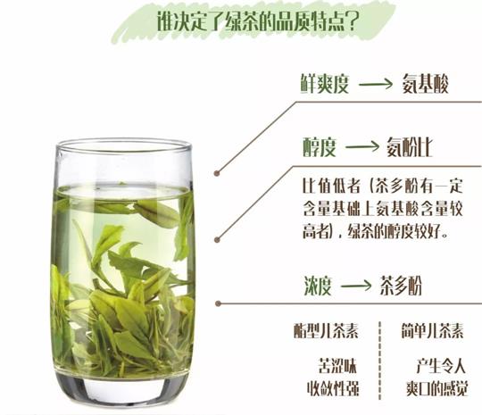 什么綠茶口味重口感濃郁，口味比較重的綠茶都有那些？