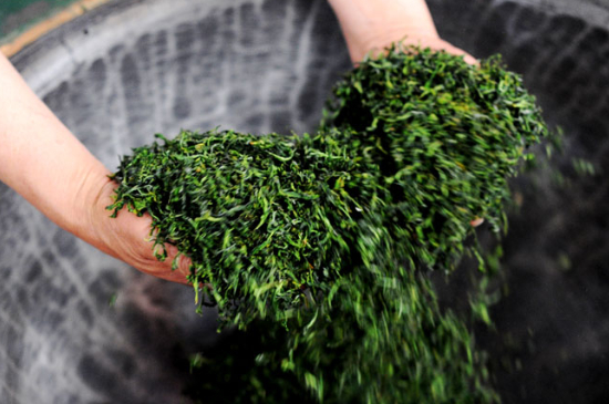 潮汕炒茶屬于什么茶，潮汕炒茶是綠茶嗎？