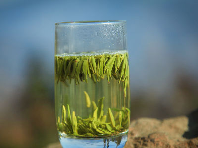 竹葉青茶怎么樣，檔次較高味道略苦價格比較貴