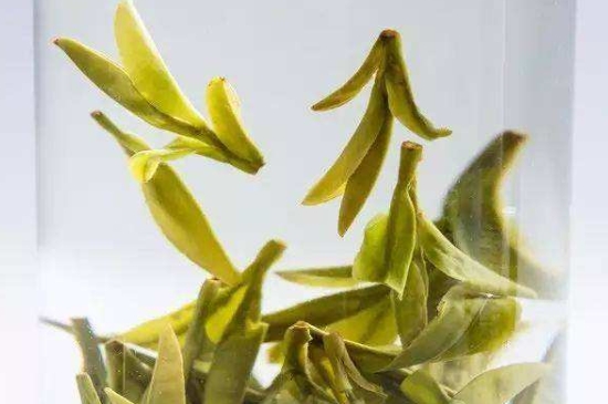 烏牛早和龍井的區(qū)別圖片，龍井43號(hào)和烏牛早茶的對(duì)比