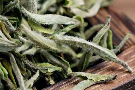 荒野銀針有什么特點，荒野銀針的味道口感咋樣？