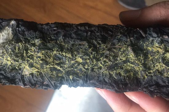 怎么知道涇渭茯茶是否變質(zhì)，茯磚茶金花和發(fā)霉的區(qū)別