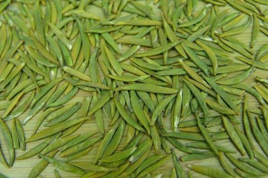 竹葉青和毛尖的區(qū)別，毛尖和竹葉青怎么分辨？