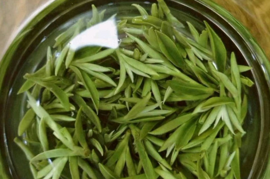 什么綠茶茶葉唇齒留香，哪個(gè)品種綠茶香氣好？