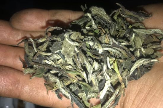 7年壽眉和2年白牡丹哪個好，老白茶壽眉與白牡丹的口感區(qū)別