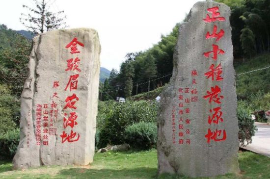 300塊錢的金駿眉能喝嗎，兩三百多金駿眉和一千多區(qū)別