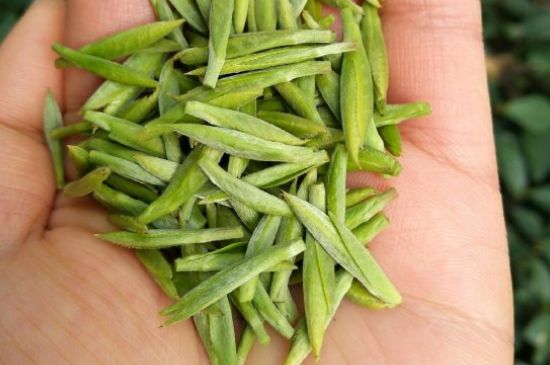 什么綠茶味道濃香，那個綠茶比較濃香？