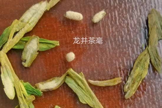 西湖龍井茶毫和發(fā)霉區(qū)別圖片，長(zhǎng)霉的龍井茶葉會(huì)是什么樣？