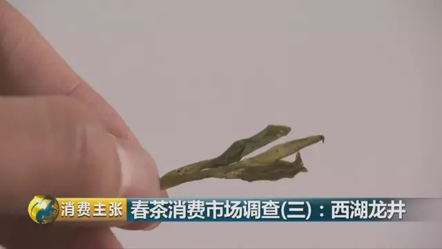 龍井群體種和43號(hào)的區(qū)別圖片，龍井43和群體種哪個(gè)好喝？