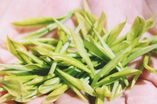 龍井是明前的好還是雨前的好，明前茶和雨前茶哪個(gè)好喝？
