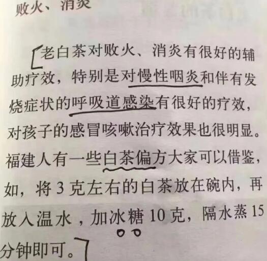 老白茶上火還是去火？夏季喝煮的老白茶會容易上火！
