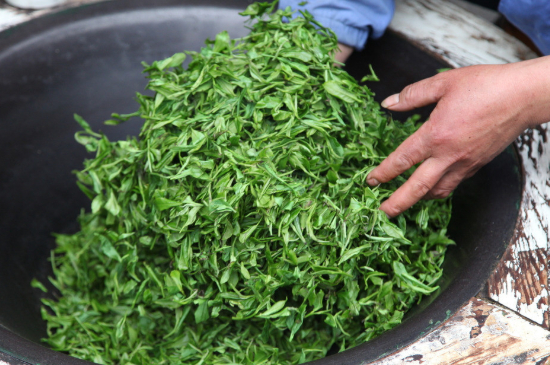 潮汕炒茶屬于什么茶，潮汕炒茶是綠茶嗎？