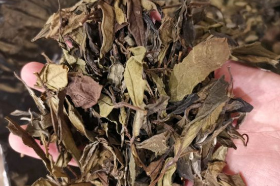 新舊白茶怎么區(qū)分，怎么分辨白茶是新還是舊