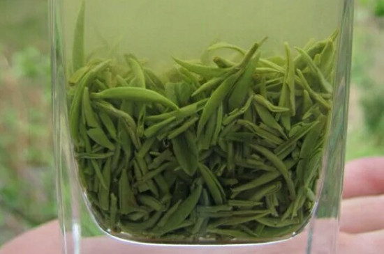 什么綠茶茶葉唇齒留香，哪個(gè)品種綠茶香氣好？