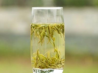霍山黃芽算是好茶嗎，霍山黃芽屬于什么茶？