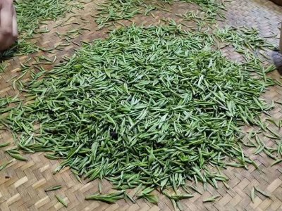 金駿眉幾年可以算陳茶，金駿眉新茶好還是老茶