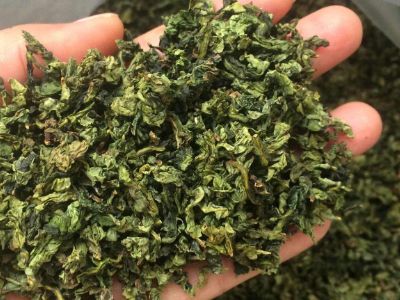 鐵觀音毛茶茶?？梢耘菟葐?，鐵觀音帶梗是不是好茶？