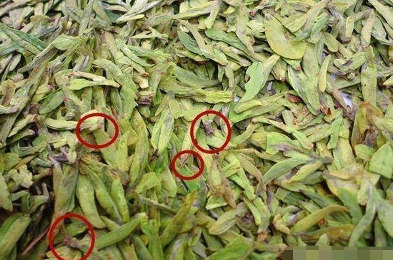 烏牛早和龍井的區(qū)別圖片，龍井43號(hào)和烏牛早茶的對(duì)比