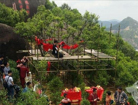 宋種一號價值為什么高，鳳凰單樅宋種1號價格與產(chǎn)量多少？