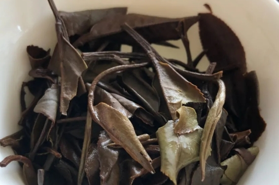 老白茶上火還是去火？夏季喝煮的老白茶會容易上火！