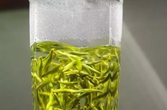 西湖龍井茶毫和發(fā)霉區(qū)別圖片，長(zhǎng)霉的龍井茶葉會(huì)是什么樣？