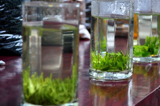 綠茶放了三年還能喝嗎，綠茶放久了喝了會(huì)怎樣