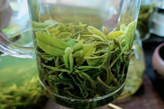 什么綠茶味道濃香，那個綠茶比較濃香？