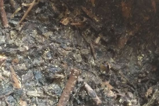 黑茶茯茶保存五大忌，茯茶收藏的注意事項(xiàng)